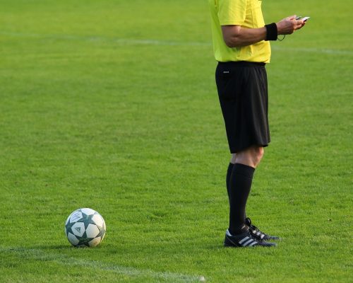 planet_fox-soccer-6679087_1280
